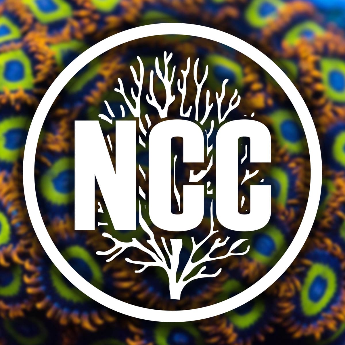 NorCal Corals Redding's Top Saltwater Aquarium & Fish Store